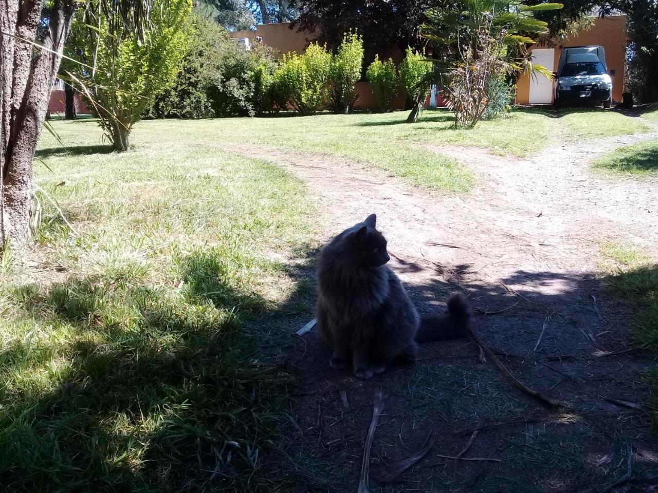 La Nilda Tandil Exterior foto